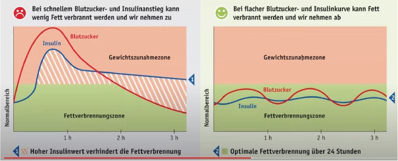 Ketose Ochner
